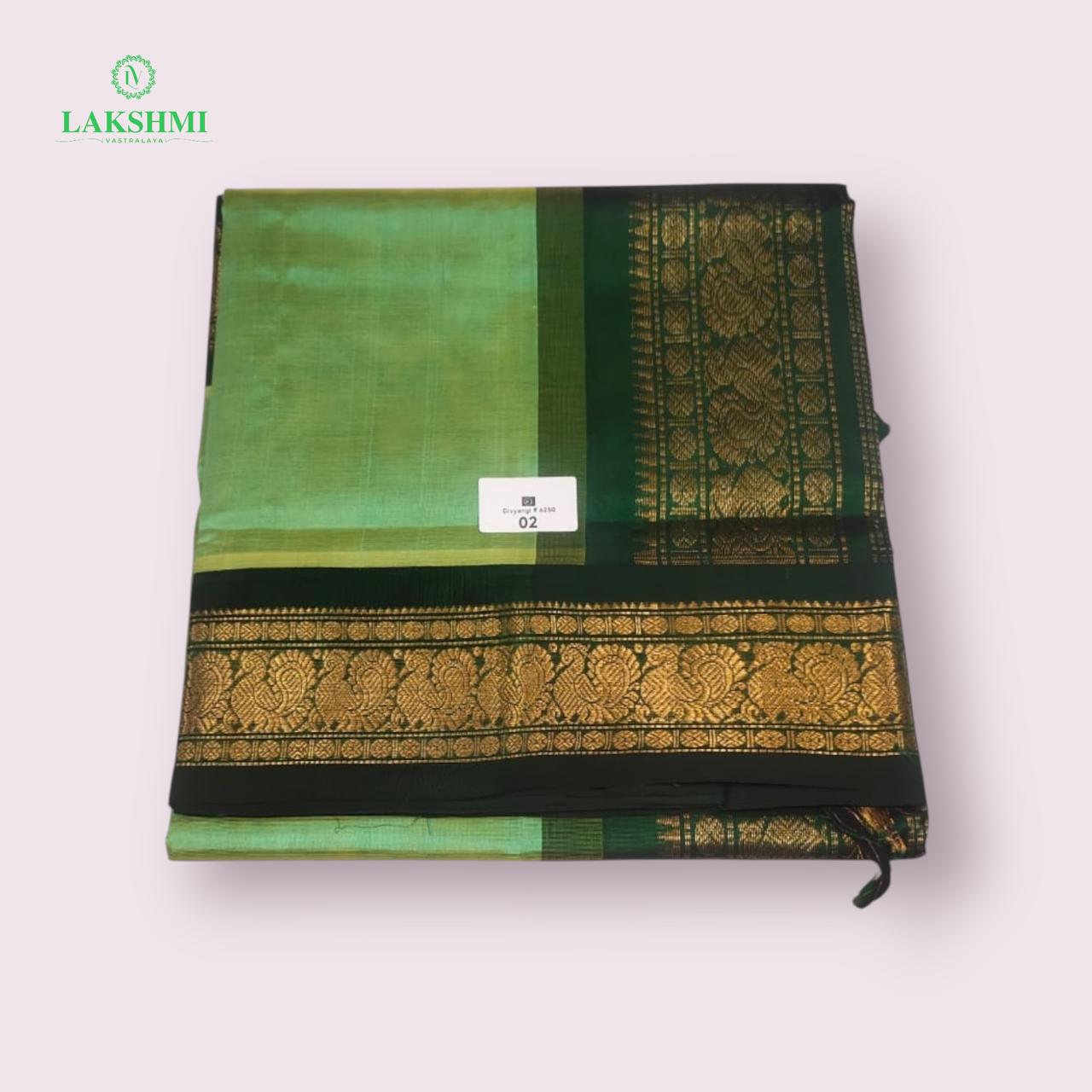 Divyangi Silk Cotton No 2