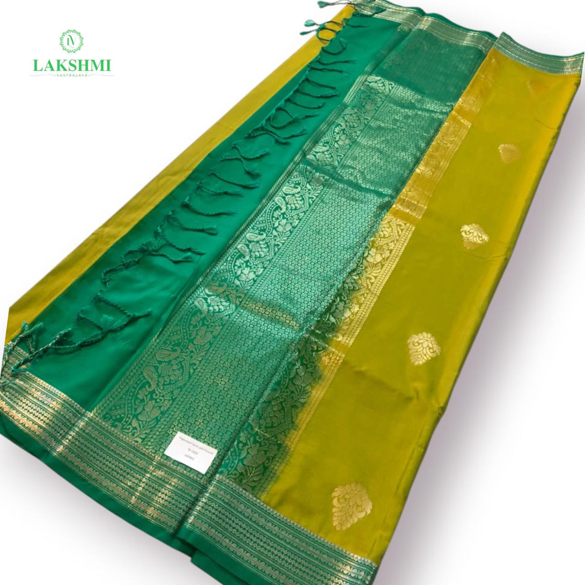 Ragranjani – Semi Soft Silk | 6 Yards - 240902