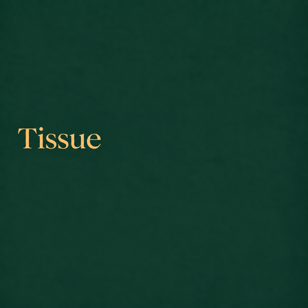 Tissue Sarees